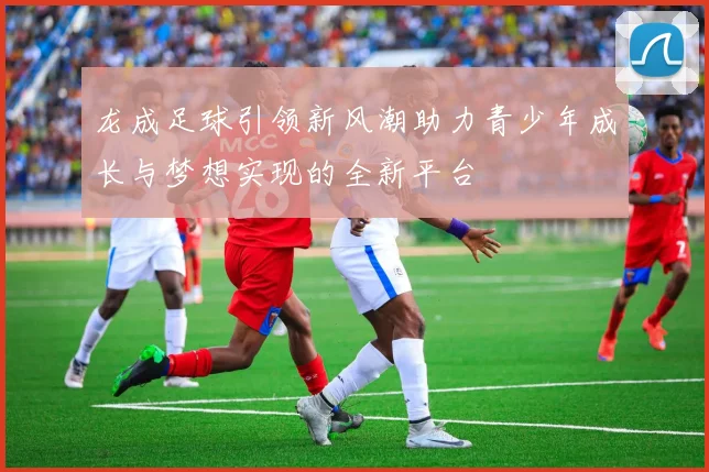 龙成足球引领新风潮助力青少年成长与梦想实现的全新平台