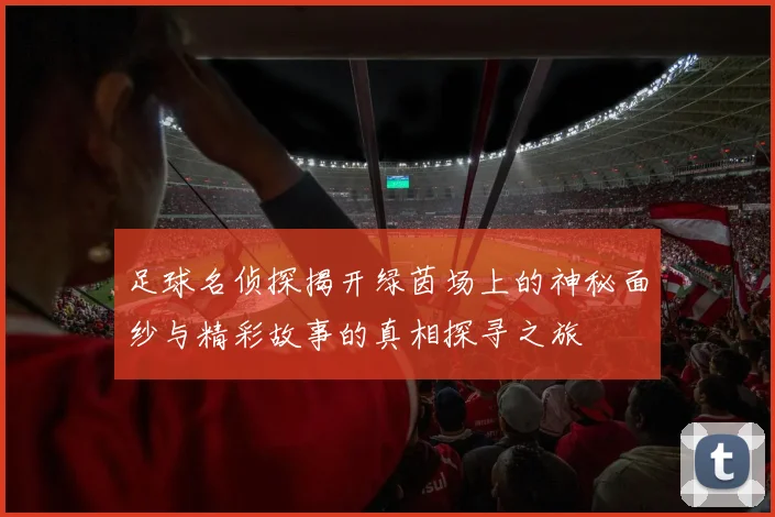 足球名侦探揭开绿茵场上的神秘面纱与精彩故事的真相探寻之旅