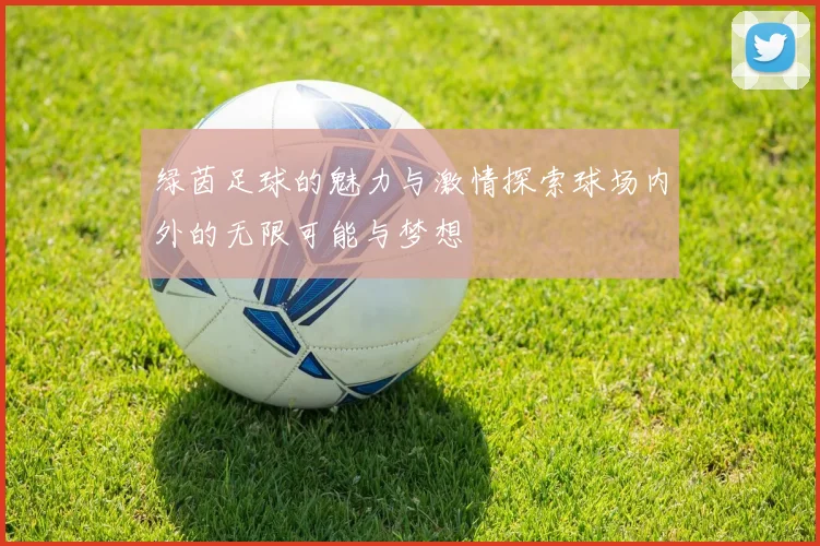 绿茵足球的魅力与激情探索球场内外的无限可能与梦想