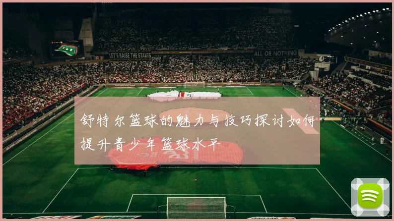 舒特尔篮球的魅力与技巧探讨如何提升青少年篮球水平