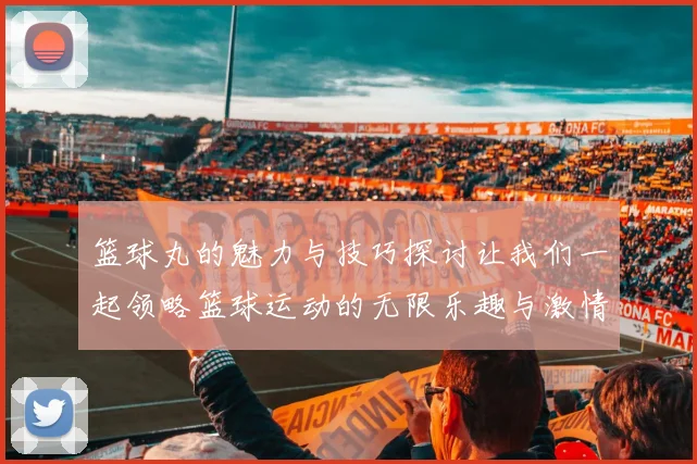 篮球丸的魅力与技巧探讨让我们一起领略篮球运动的无限乐趣与激情