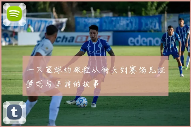 一只篮球的旅程从街头到赛场见证梦想与坚持的故事