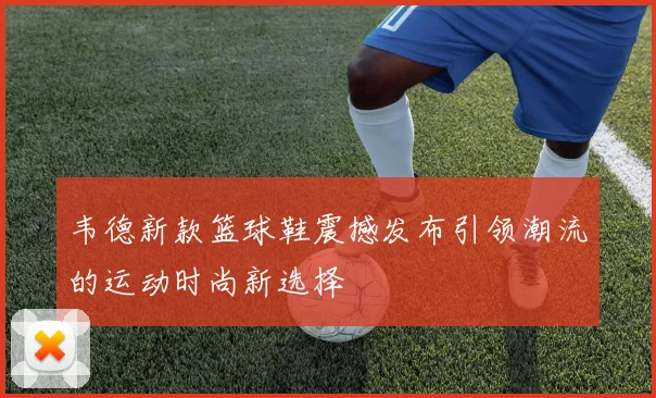 韦德新款篮球鞋震撼发布引领潮流的运动时尚新选择