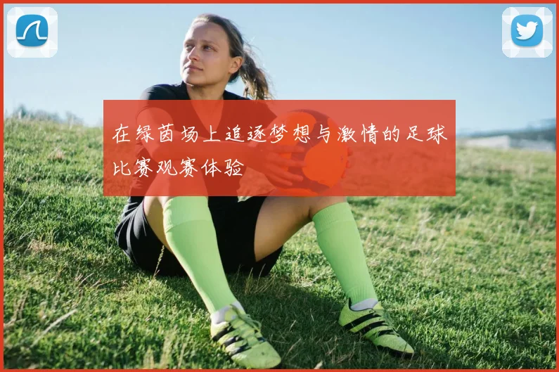 在绿茵场上追逐梦想与激情的足球比赛观赛体验