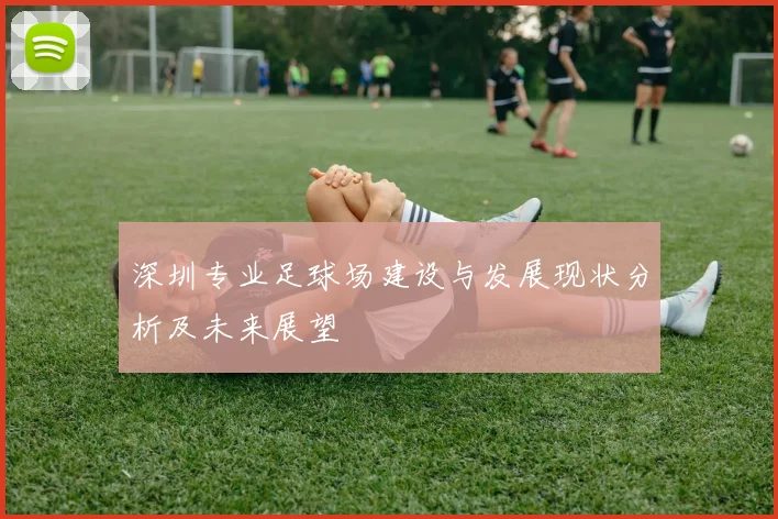 深圳专业足球场建设与发展现状分析及未来展望